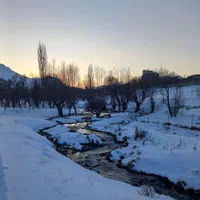 اجاره سوئیت فریدونشهر منزل