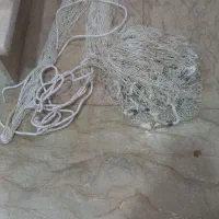 لانس دریایی در حد چهار متری