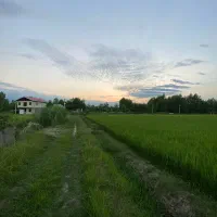 فروش شالیزار *به زراعی* در روستای چوبه|فروش دفتر صنعتی، کشاورزی، تجاری|صومعه‌سرا, |دیوار