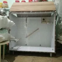 قفس پرنده دستساز زیبا|لوازم جانبی حیوانات|شیراز, ده پیاله|دیوار