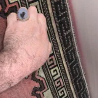 انگشتر شجر تک درخت کلکسیونی