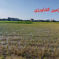 فروش زمین کشاورزی|فروش زمین و ملک کلنگی|زرگرشهر, |دیوار