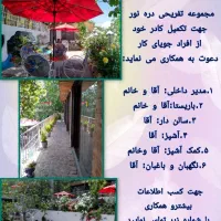 استخدام نیروی