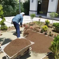 کود حیوانی گاوی وگوسفندی|خدمات باغبانی و درختکاری|چهارباغ, |دیوار