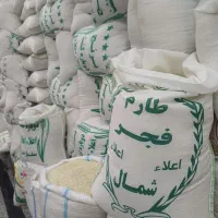 برنج فجر طارم و برنج پرمحصول به قیمت عمده