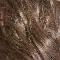 موی مصنوعی|آرایشی، بهداشتی، درمانی|رشت, گلزاران|دیوار