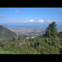 فروش زمین رامسر اربه‌ کله