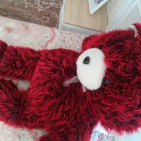 عروسک خرسی|اسباب‌‌بازی|بانه, |دیوار