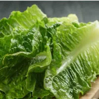 بذر سبزی جات خارجی|گل و گیاه طبیعی|شیراز, آزادگان|دیوار