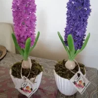 سنبل خمیری|گل مصنوعی|کرمانشاه, |دیوار