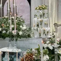 تالار عروسی و خانه عقد و تولد ائل گلی