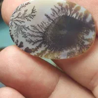 ورق بزنید حراجی شجر|جواهرات|شهریار, شهریار|دیوار