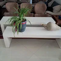 حراج|حراج|مشهد, رضاشهر|دیوار