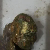 مجسمه شجر عتیقه|کلکسیون اشیاء عتیقه|اهواز, شریعتی جنوبی|دیوار