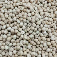 نخود آبگوشتی درجه یک|خوردنی و آشامیدنی|دوزین, |دیوار