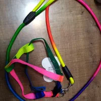 قلاده سگ|لوازم جانبی حیوانات|ارومیه, |دیوار