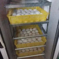 دستگاه جوجه کشی ۲۱۰ تایی