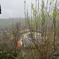 زمین ویو جنگل  در لفور