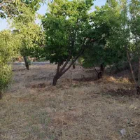 فروش زمین ۸۰۰ متری در شهرکرد شوراب صغیر|فروش زمین و ملک کلنگی|شاهین‌شهر, پاسداران|دیوار