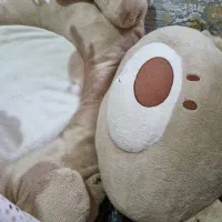 وسایل بازی|اسباببازی بچه|شیراز, دلجو|دیوار