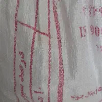 گندم