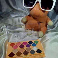 پالت سایه Diamond