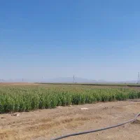 مزرعه ملک کشاورزی جاده اراک تهران