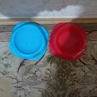 این سگ تربیت شدس واقعا شیتزو اصله و واقعا حرفه ای|سگ|پرند, فاز ۵|دیوار