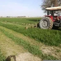 کاه یونجه