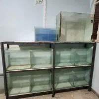 پایه و آکواریوم سالنی