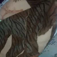 پتو تک نفره ودو نفر جهت بار کشی