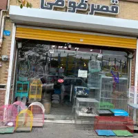 وسایل جانبی حیوانات