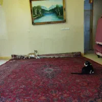 فرش دستبافت