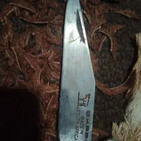 چاقو okapi|کلکسیون اشیاء عتیقه|صفادشت, |دیوار