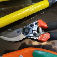 لوازم باغبانی و هرس گل گیاه قیچی شاخه زن اره|گل و گیاه طبیعی|اصفهان, خواجه عمید|دیوار