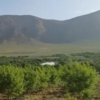 زمین باغی جهت گلخانه|فروش دفتر صنعتی، کشاورزی، تجاری|اصفهان, تیران|دیوار