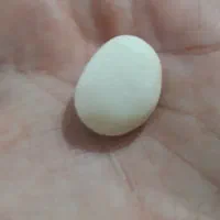 سنگ قیمتی|جواهرات|یاسوج, |دیوار