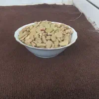 بذرباقله خارجی زودرس