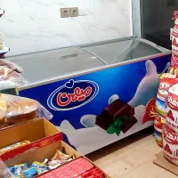 فریزر بستنی600 لیتری