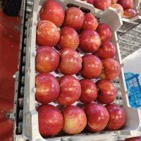 نیازمند نیرو خانوم