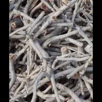 کار کشاورزی پتالی وغیره