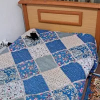 کتابخانه و تخت ست|کتابخانه، شلف، قفسه‌های دیواری|تبریز, |دیوار