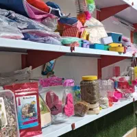 مغازه|پرنده|ماکو, |دیوار