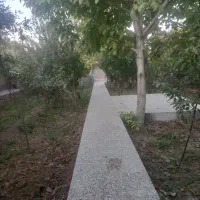 باغ خوش آب وهوا کوچه روبروی کباب شهریار(کمال آباد)|فروش خانه و ویلا|مهریز, |دیوار