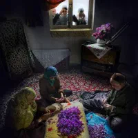 زعفران ناب قائنات، مستقیم از دل مزرعه تا دست شما|خوردنی و آشامیدنی|تهران, عباسی|دیوار