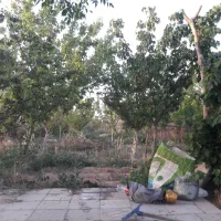 باغچه۶۰۰متری