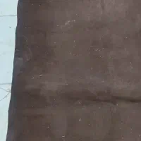 موکت قهوه ای تیره سالم