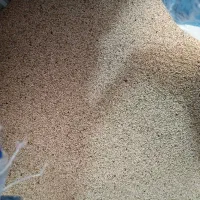 بذرکشاورزی