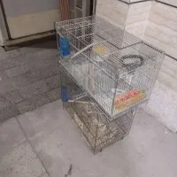 قفس غلامی قدیمی بزرگ  سایز۶