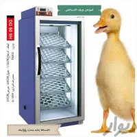 دستگاه جوجه کشی بلدرچین دماوند|لوازم جانبی حیوانات|گنبد کاووس, |دیوار